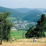 Quartier12 